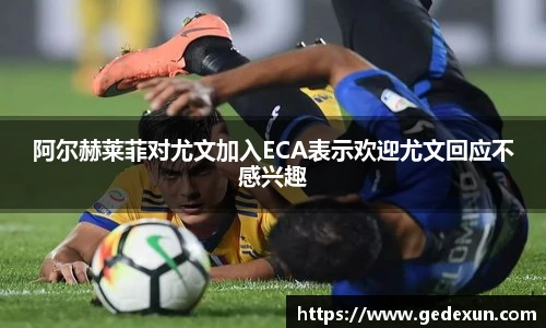 Vsport体育官网版